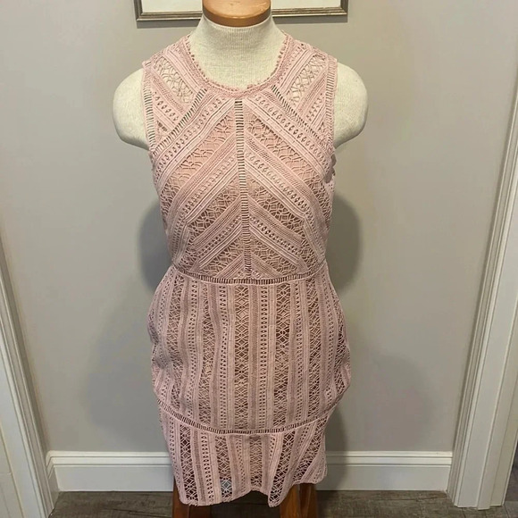 Anthropologie Greylin - Emilia Lace Mini Dress - Chalk Rose - Size Small - Picture 4 of 14
